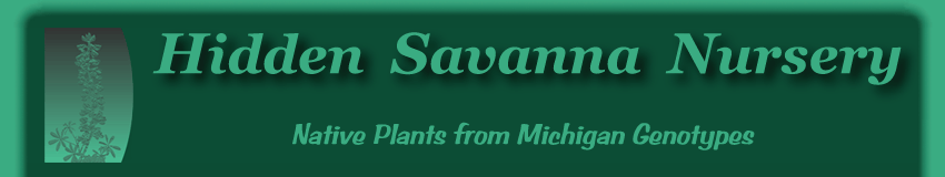 Hidden Savanna Nursery Logo